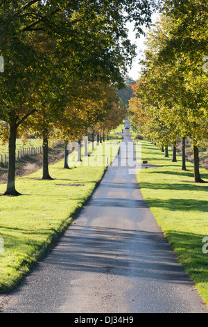 Die Straße nach zündeten Arboretum in der Nähe von Moreton in Marsh, The Cotswolds UK Stockfoto