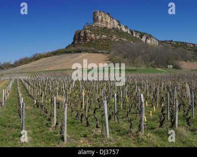 Der Felsen von Solutré, ein wichtiges Wahrzeichen der Region, mit Blick auf die Weinberge von Pouilly Fuissé im südlichen Burgund, Frankreich Stockfoto