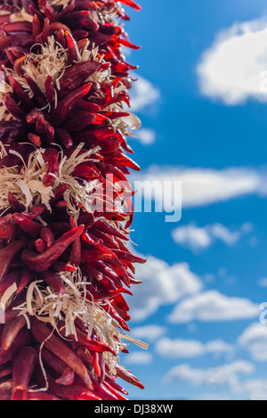 Ein tiefes rot gefärbt Chile Girlanden hängen trocknen in der Sonne vor einem blauen Himmel mit weißen geschwollenen Wolken in Santa Fe, New Mexico. Stockfoto