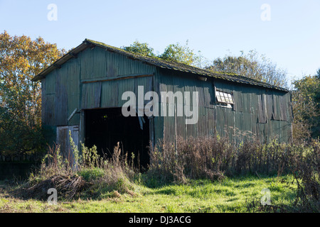 Eine alte Wellblech-Scheune in einem Feld auf einer Farm in den Cotswolds UK Stockfoto