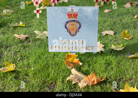 Gedenkstätten zur Erinnerung an die Gefallenen der beiden Weltkriege in das Feld Erinnerung Cheltenham UK Stockfoto