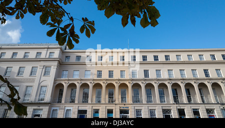 Regency Architektur und Gebäude in Cheltenham UK Stockfoto