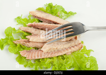 Makrelen Filets auf einem weißen Teller Stockfoto