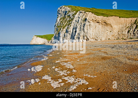 Swyre Kopf steigt von der Kiesstrand in der Nähe von Durdle Door auf Jurassic Küste von Dorset. Stockfoto