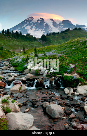 Mount Rainier über Edith Bach mit einer linsenförmige Wolke über Spitze, Mount-Rainier-Nationalpark, Washington. Stockfoto