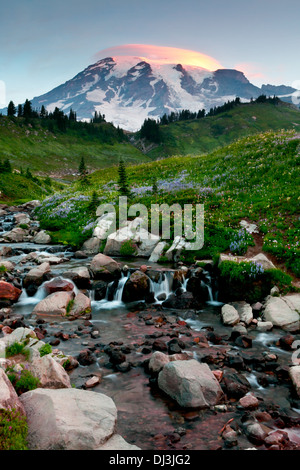 Mount Rainier über Edith Bach mit einer linsenförmige Wolke über Spitze, Mount-Rainier-Nationalpark, Washington. Stockfoto