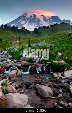 Mount Rainier über Edith Bach mit einer linsenförmige Wolke über Spitze, Mount-Rainier-Nationalpark, Washington. Stockfoto