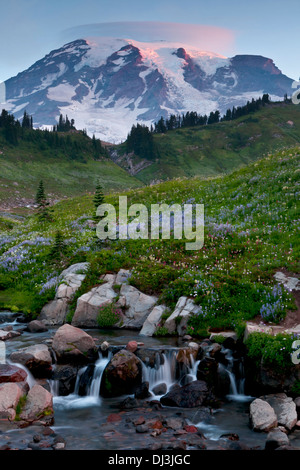 Mount Rainier über Edith Bach mit einer linsenförmige Wolke über Spitze, Mount-Rainier-Nationalpark, Washington. Stockfoto