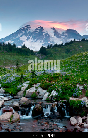 Mount Rainier über Edith Bach mit einer linsenförmige Wolke über Spitze, Mount-Rainier-Nationalpark, Washington. Stockfoto