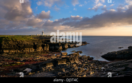 Felsen und Bucht am Hook Head Leuchtturm, County Wexford, Irland Stockfoto