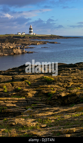 Felsen und Bucht am Hook Head Leuchtturm, County Wexford, Irland Stockfoto