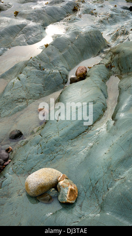 Algen und Kieselsteine auf Felsen, Kilmore, County Wexford, Irland Stockfoto
