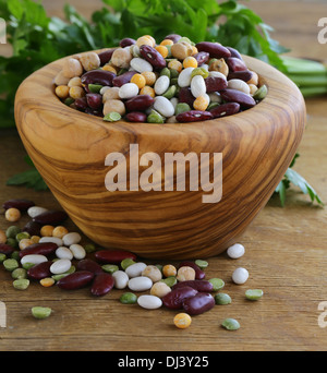 Auswahl an verschiedenen Arten von Bohnen - Erbsen, rote Bohnen, Kichererbsen Stockfoto