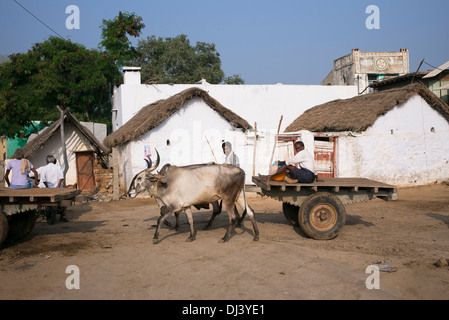 Südindische Männer auf einem Ochsenkarren außerhalb der strohgedeckten indischen Dorfhäuser. Andhra Pradesh, Indien Stockfoto