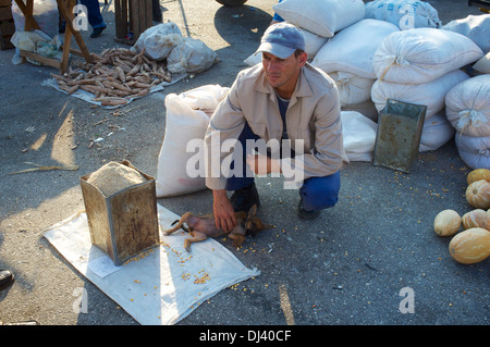 Bauernmarkt, Gibara, Kuba Stockfoto