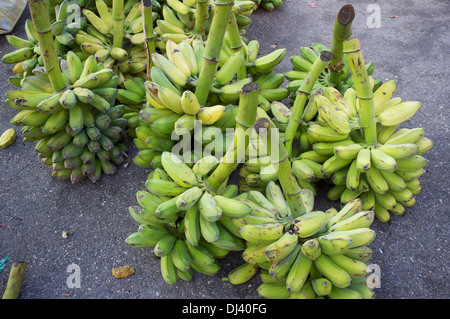 Bananen, Bauernmarkt, Gibara, Kuba Stockfoto