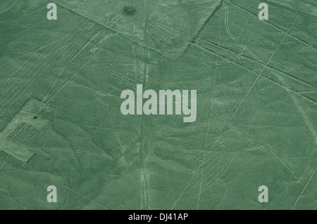 Condor Abbildung Nazca-Linien in Peru Stockfoto