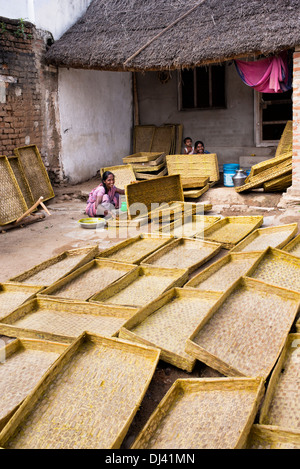 Inderin mit Kurkuma Wasser als Desinfektionsmittel, um Seidenraupe Schalen in einem ländlichen Dorf zu reinigen. Andhra Pradesh, Indien Stockfoto