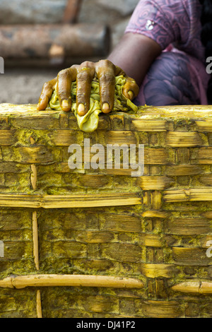 Inderin mit Kurkuma Wasser als Desinfektionsmittel, um Seidenraupe Schalen in einem ländlichen Dorf zu reinigen. Andhra Pradesh, Indien Stockfoto