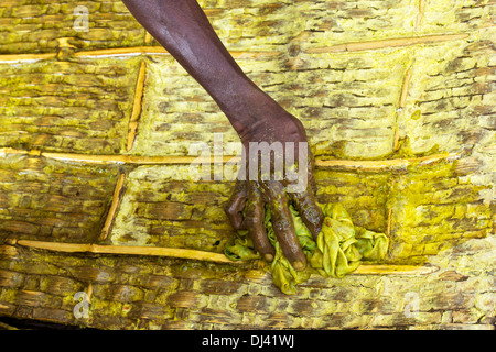 Inderin mit Kurkuma Wasser als Desinfektionsmittel, um Seidenraupe Schalen in einem ländlichen Dorf zu reinigen. Andhra Pradesh, Indien Stockfoto