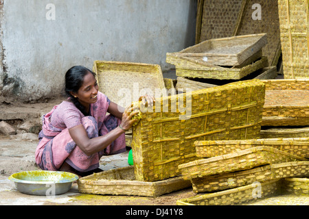 Inderin mit Kurkuma Wasser als Desinfektionsmittel, um Seidenraupe Schalen in einem ländlichen Dorf zu reinigen. Andhra Pradesh, Indien Stockfoto