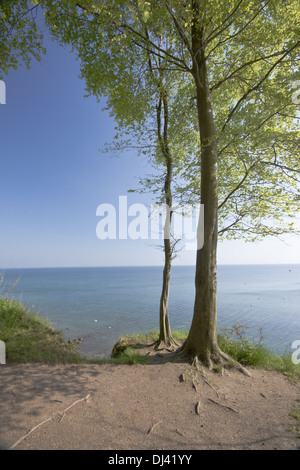 Auf dem steilen Ufer Stockfoto