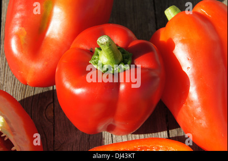 Capsicum Annuum, Paprika, rote Paprika Stockfoto