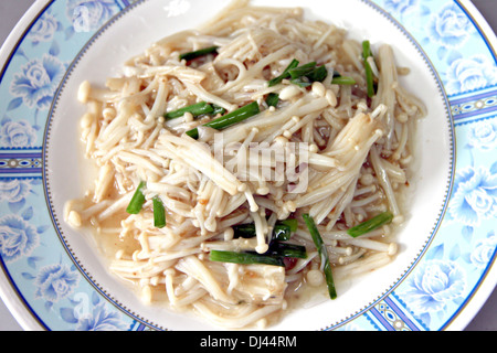 Champignons mit Pfeffer und Basilikum, lokale Speisen in Thailand zu mischen. Stockfoto