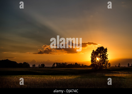 Dramatische Landschaft Sonnenuntergang im Osten von Polen. Stockfoto