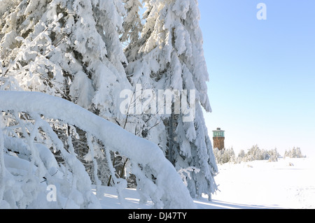 Winter auf der Hornisgrinde Stockfoto