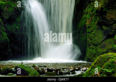 Geroldsauer Wasserfall Schwarzwald Deutschland Stockfoto