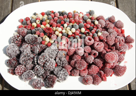 Brombeeren, Johannisbeeren, Himbeeren Stockfoto