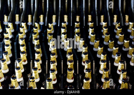 Radeberg, Deutschland. 19. November 2013. Die Abfüllung in der Radeberger Export Bierbrauerei in Radeberg, Deutschland, 19. November 2013. Foto: SEBASTIAN KAHNERT/Dpa/Alamy Live News Stockfoto