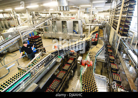 Radeberg, Deutschland. 19. November 2013. Die Abfüllung in der Radeberger Export Bierbrauerei in Radeberg, Deutschland, 19. November 2013. Foto: SEBASTIAN KAHNERT/Dpa/Alamy Live News Stockfoto