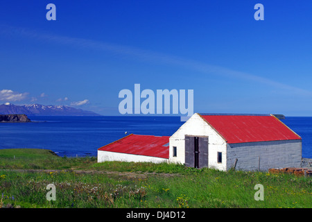 Einsames Bauernhaus in Nordisland Stockfoto