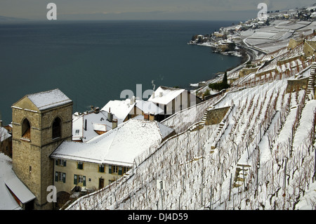 Kirche von Saint-Saphorin Lavaux, Schweiz Stockfoto