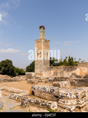 Chellah / Sala Colonia in der Nähe von Rabat in Marokko - eine Ruinenstadt der antiken römischen Arabisch / Nekropole mit Störche Nester Stockfoto