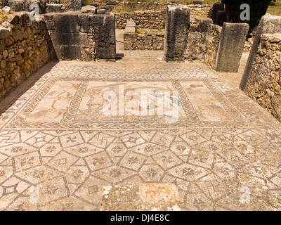 Antike römische Mosaikboden zeigt Entführung von Hylas von Nymphen in alte Stadt Volubilis, Meknes, Morocco Stockfoto