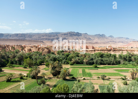 Oase Tinghir, Marokko im Atlas-Gebirge Stockfoto