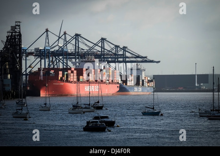 Container-Schiffe entladen in Tilbury Docks in Essex. Stockfoto