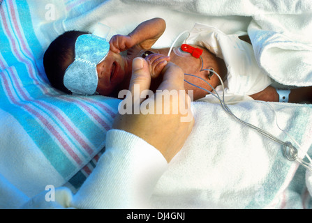 Ein Frühgeborenes hält die Hand der Mutter in neonatale Intensivstation Stockfoto