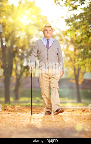 Ältere Gentleman zu Fuß mit einem Stock in einem Park, an einem sonnigen Tag im Herbst Stockfoto