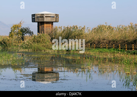 Hula-Naturschutzgebiet in Israel Stockfoto