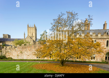 Wells Cathedral aus dem Bischöflichen Palast Gärten, Wells, Somerset, England, UK Stockfoto