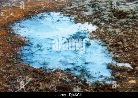 gefrorene Pfütze in der Morgensonne Stockfoto