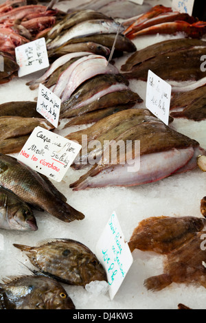 Fangfrischen Fisch zum Verkauf auf einen französischen Fischhändler stall Stockfoto