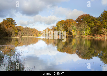 Herbst Reflexionen an Cannop Seen in Wald des Dekans, Gloucestershire, England, Großbritannien Stockfoto