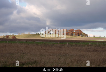 Marlborough Downs Byway, Nr Avebury, Wiltshire, England, Großbritannien Stockfoto