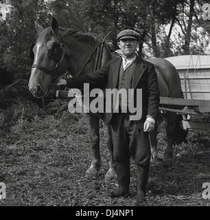 Historisches Bild von 1950s, Norfolk, England, Großbritannien, ein stolzer kleiner Halter oder Kleinbauer in der Kleidung der Ära und trägt eine flache Kappe, auf seinem Land stehend mit seinem Pferd an einem Anhänger befestigt. Stockfoto