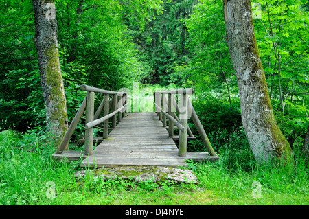 Holzbrücke Stockfoto